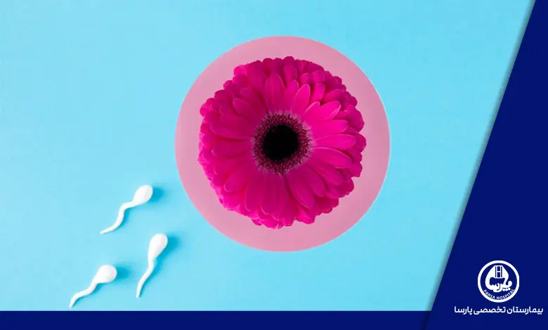 چگونه برای IVF نکات مهم قبل از اقدام